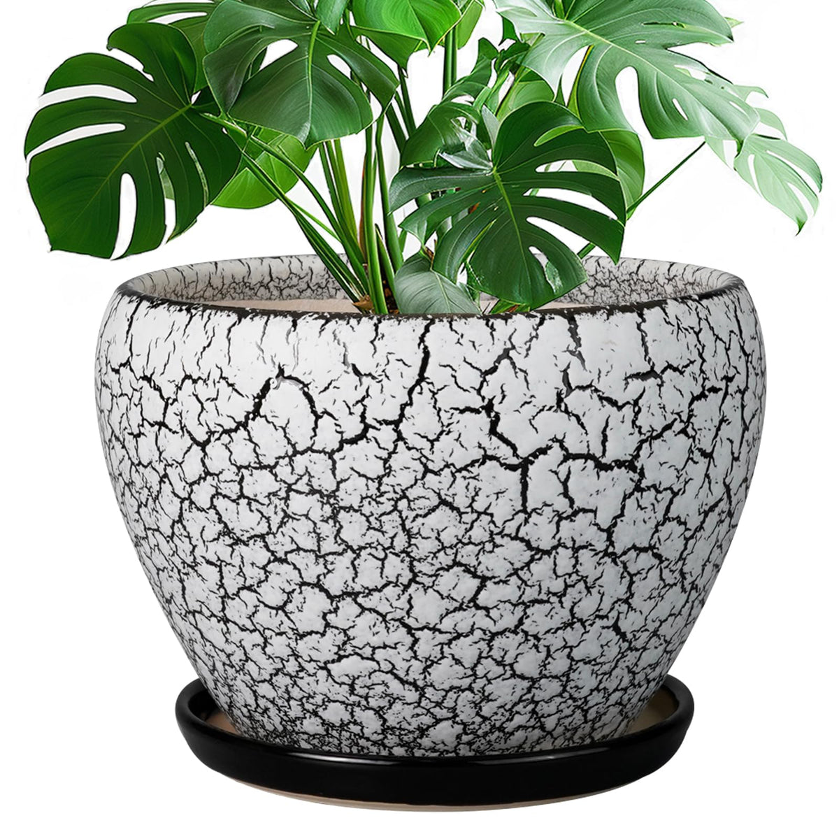 Ceramic Modern Glaze Succulent Planter Pot with Drainage Hole and Saucer 6 Inch Round Flower Plant Pot for Indoor Outdoor Herb Snake Plants