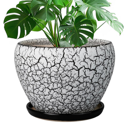 Ceramic Modern Glaze Succulent Planter Pot with Drainage Hole and Saucer 6 Inch Round Flower Plant Pot for Indoor Outdoor Herb Snake Plants