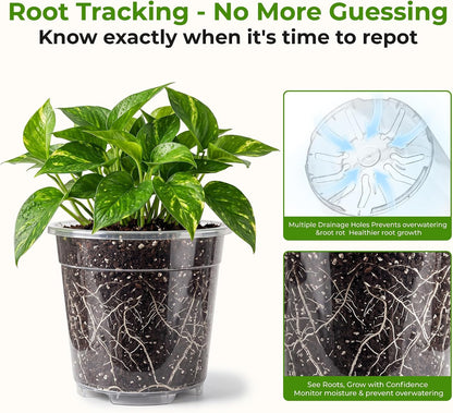 Sturdy 12 Pack Clear Nursery Pots 5/6/6.5/7.5/8/10 Inch with Drainage Holes