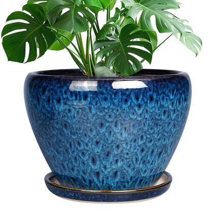 Ceramic Modern Glaze Succulent Planter Pot with Drainage Hole and Saucer 6 Inch Round Flower Plant Pot for Indoor Outdoor Herb Snake Plants