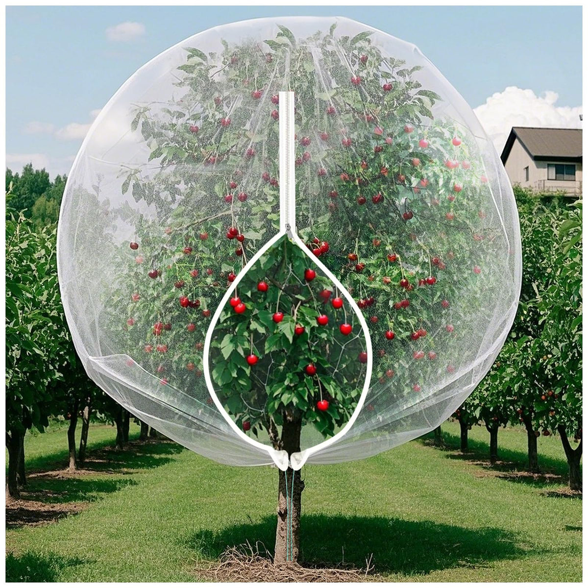 Insect Bird Barrier Mesh, 3.5 x4.6FT Garden Netting Barrier with Drawstring