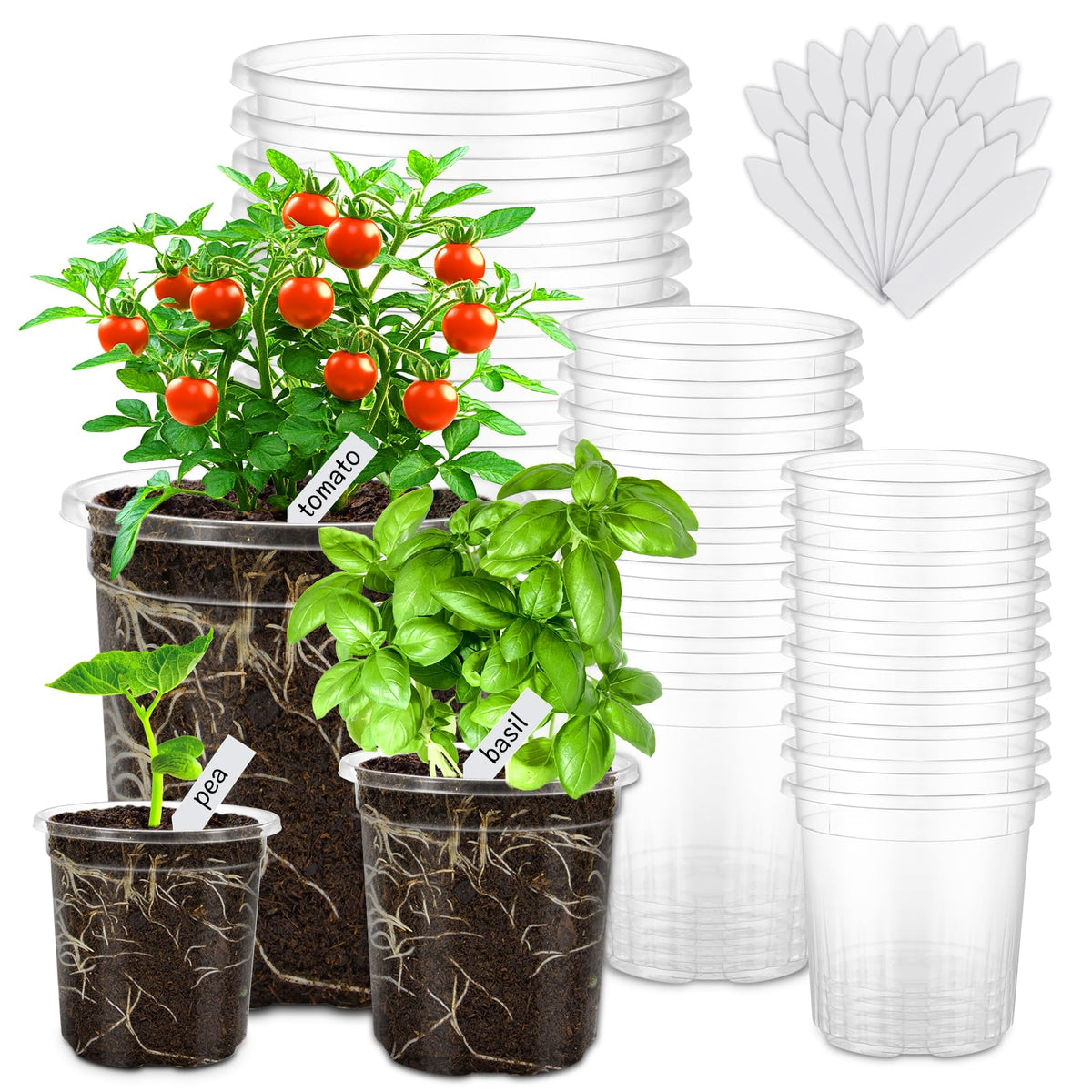 30 Pack Clear Nursery Plant Pots, 3.5/4/5 In with Drainage Holes, 20 Labels