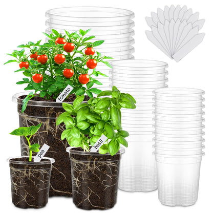 30 Pack Clear Nursery Plant Pots, 3.5/4/5 In with Drainage Holes, 20 Labels