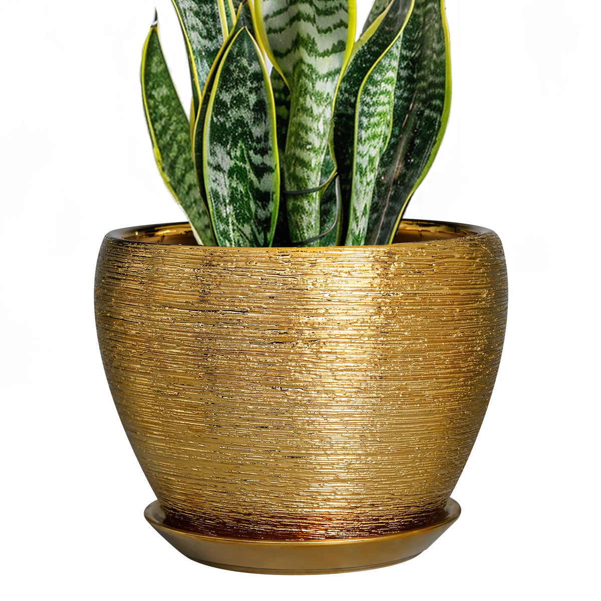 Ceramic Modern Glaze Succulent Planter Pot with Drainage Hole and Saucer 6 Inch Round Flower Plant Pot for Indoor Outdoor Herb Snake Plants