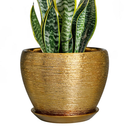 Ceramic Modern Glaze Succulent Planter Pot with Drainage Hole and Saucer 6 Inch Round Flower Plant Pot for Indoor Outdoor Herb Snake Plants