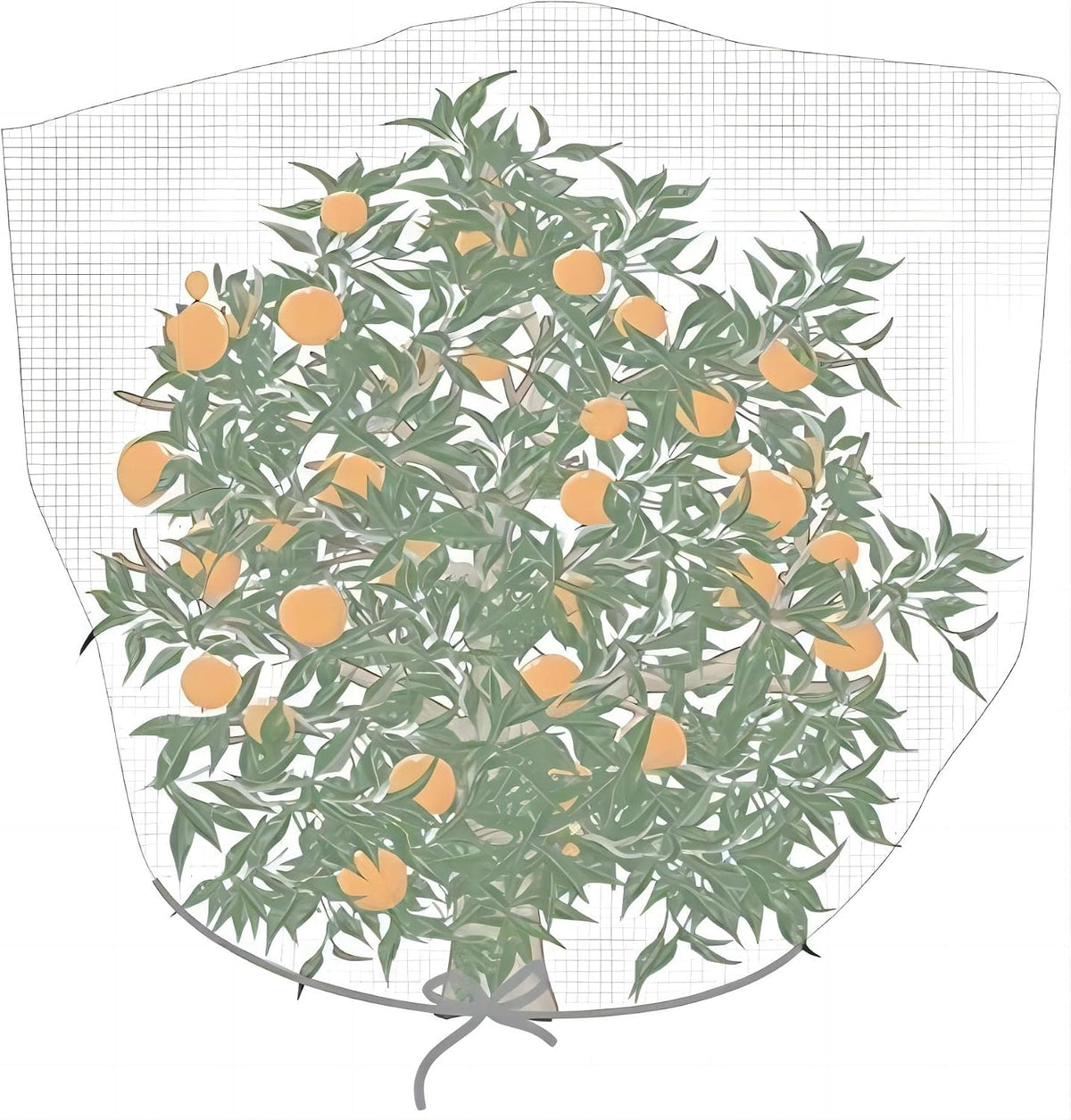 Agfabric Bird Netting 39" Hx39 W Garden Netting Insect Pest Barrier,Plant Cover Fruit Tree Netting Mesh Protection Bag with Drawstring,White