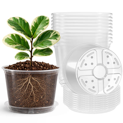 Bluepro Clear Nursery Pots with Drainage Holes, 3.5/4/5 Inch, 36-Pack