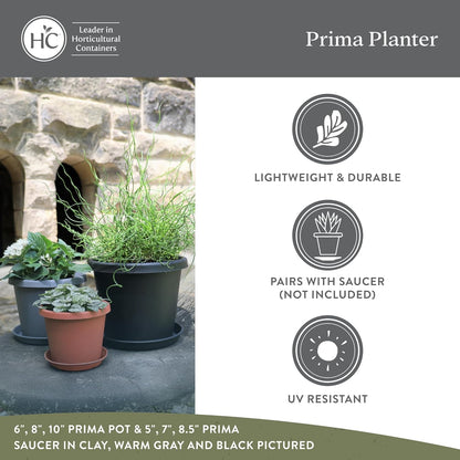 The HC Companies Prima Round Plastic Plant Pot w/Rolled Rim - Lightweight & UV Resistant Flower Pot for Herbs & More - Outdoor & Indoor Plant Pots w/Drainage (12 inch, Warm Gray, Pack of 1)