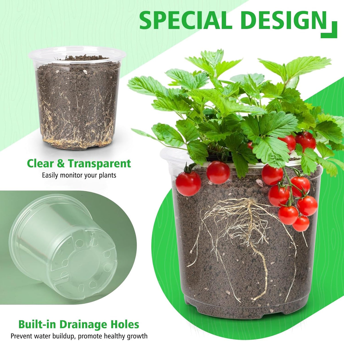 6/8/10 Inch Clear Nursery Pots with Drainage, Plastic Pots for Plants