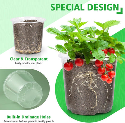6/8/10 Inch Clear Nursery Pots with Drainage, Plastic Pots for Plants