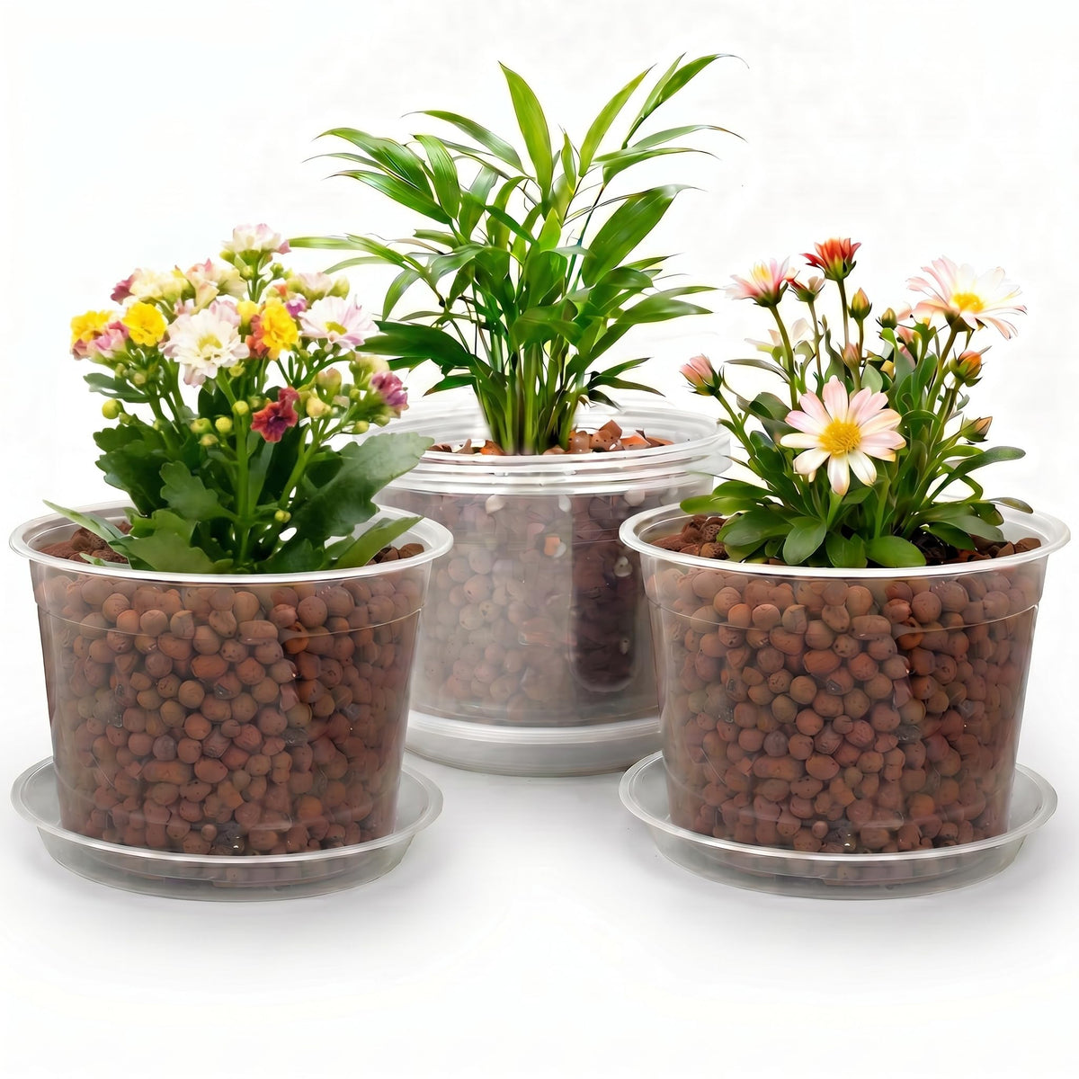 10/8/6/4 Inch Clear Nursery Pots with Drainage Holes and Saucers, 12 Pack Large Clear Pots for Plants Variety Pack, Plastic Nursery Pots for Succulents, Seedings, Herbs, Flowers, Vegetables