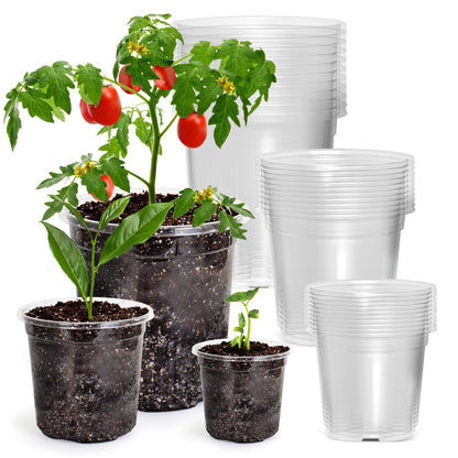 Bluepro Clear Nursery Pots with Drainage Holes, 3.5/4/5 Inch, 36-Pack