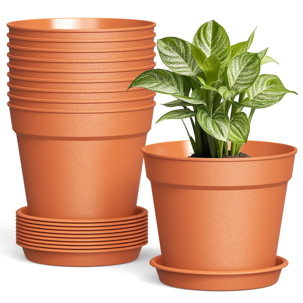 10 Pack 6 Inch Plant Pots with Drainage and Saucers, White Plastic Flower Pots for Indoor and Outdoor Plants, Stackable Nursery Planters for Houseplants and Herbs, White
