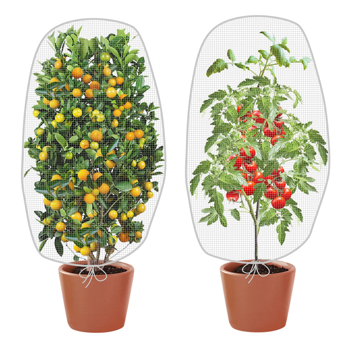 Alpurple 2 Pcs Insect Bird Barrier Netting Mesh with Drawstring- 4.9 x 3.2 Ft Garden Bug Netting Plant Cover- Fruit Tree Net for Protect Plant Fruits Citrus Flower from Insect Bird Eating