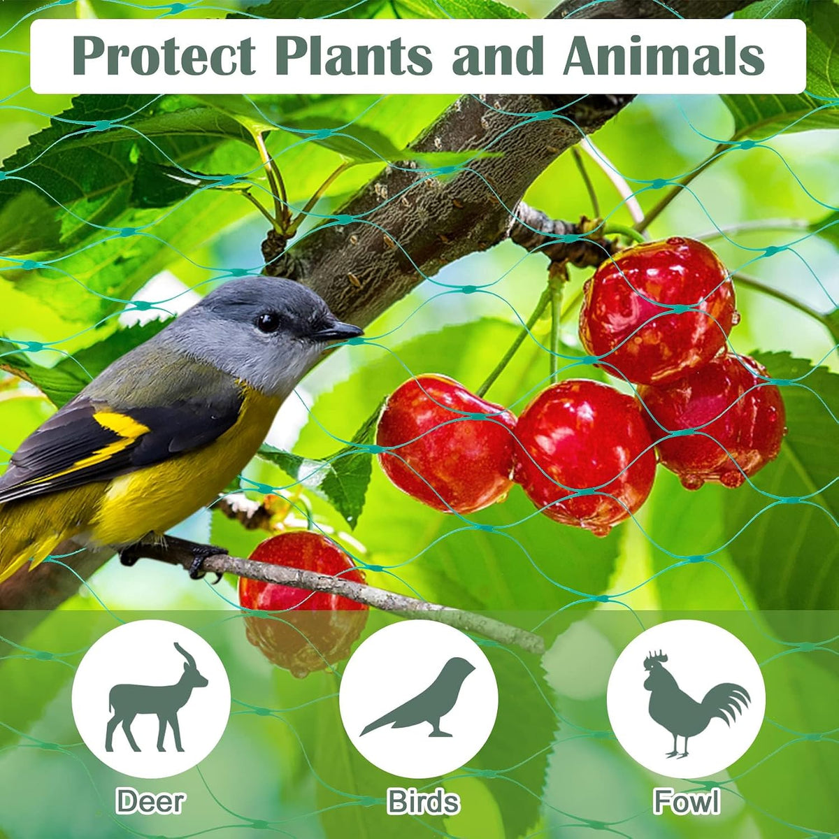 13Ft x 33Ft Anti Bird Netting Protection Mesh Garden Netting Seedlings Plants Flowers Fruit Trees Vegetables from Rodents Deer Reusable Fencing, Green