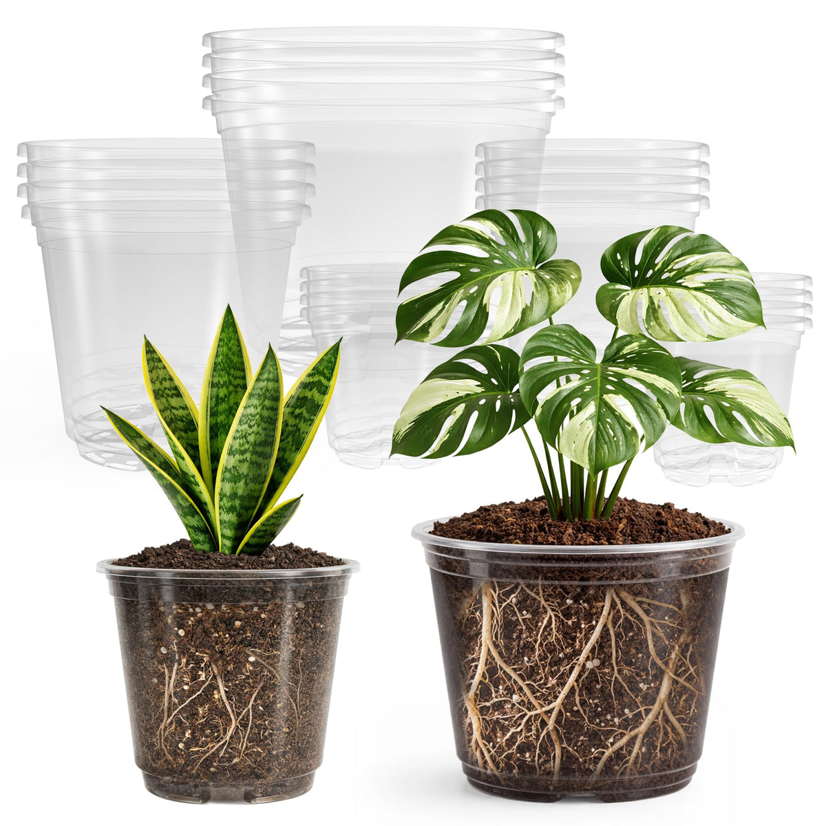 Bluepro Clear Nursery Pots with Drainage Holes, 3.5/4/5 Inch, 36-Pack