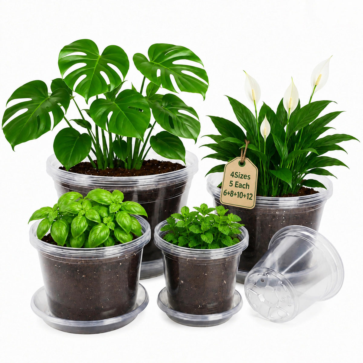 Bluepro Clear Nursery Pots with Drainage Holes, 3.5/4/5 Inch, 36-Pack