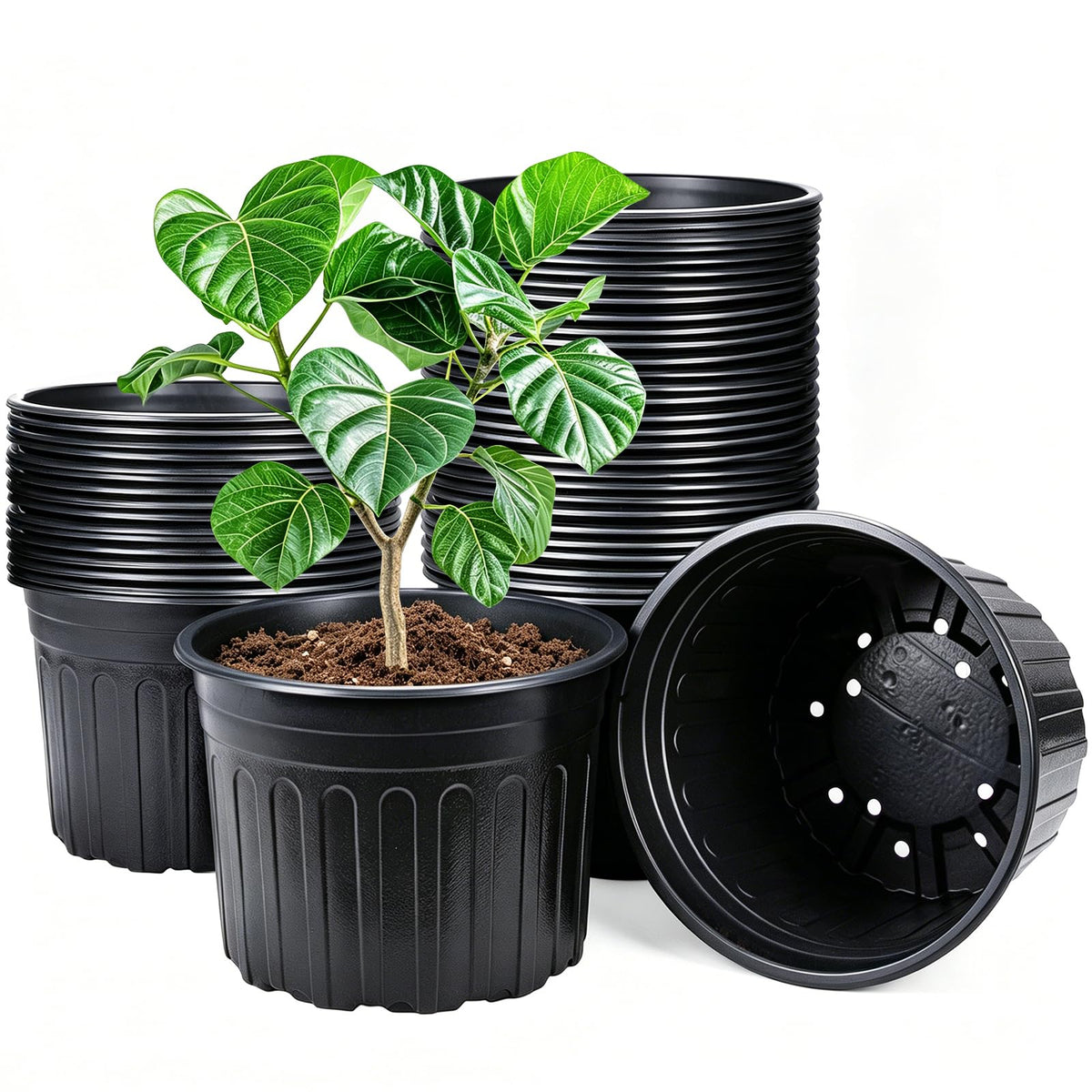 HECTOLIFE 50-Pack 1 Gallon Black Flexible Flower Plant Nursery Pots