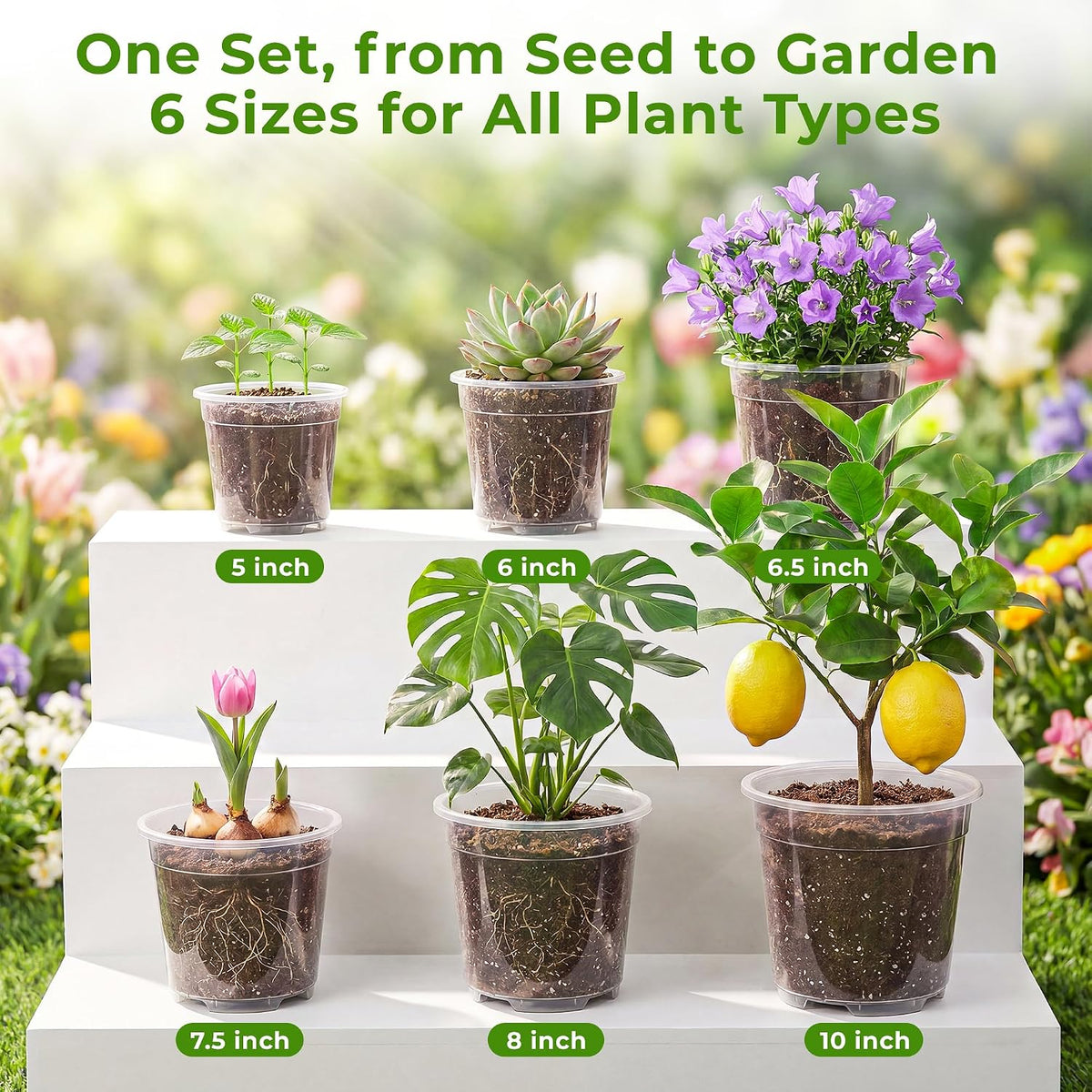 Sturdy 12 Pack Clear Nursery Pots 5/6/6.5/7.5/8/10 Inch with Drainage Holes