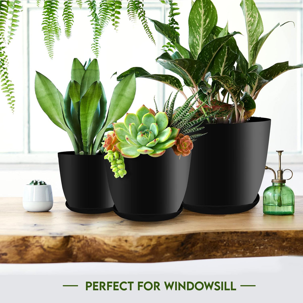 Plant Pots Indoor with Drainage, 5 Pack Multi-Size Planters Set, Black