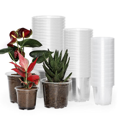 JERIA 30 Pack 6/5/4Inch Clear Nursery Pots with Drainage Holes, Clear Plant Pot for Planting, Transparent Plastic Plant Pots,Durable Seed Starting Pot for Succulents