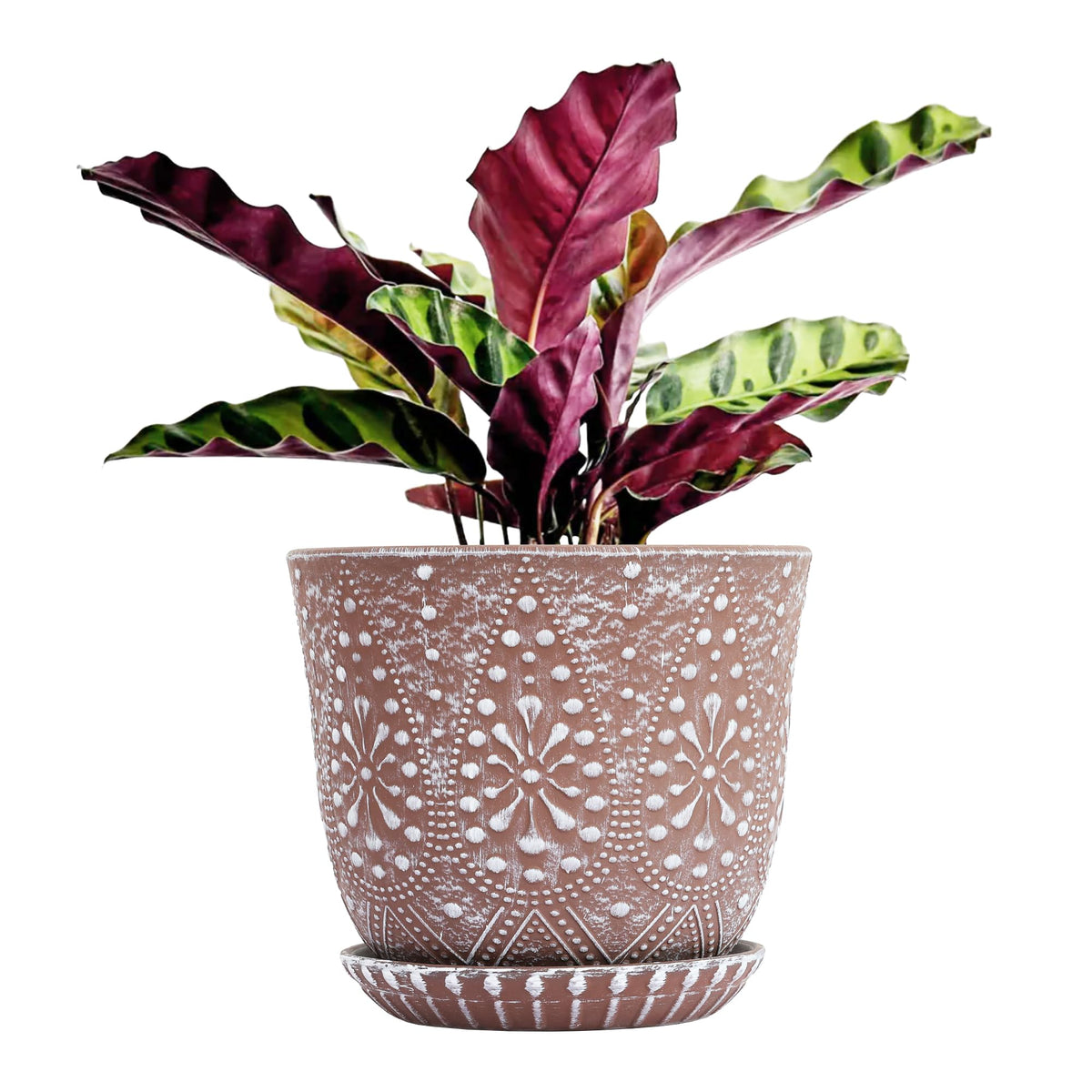 Gepege Ceramic Plant Pots, 6 Inch Indoor Planters with Drainage & Saucers