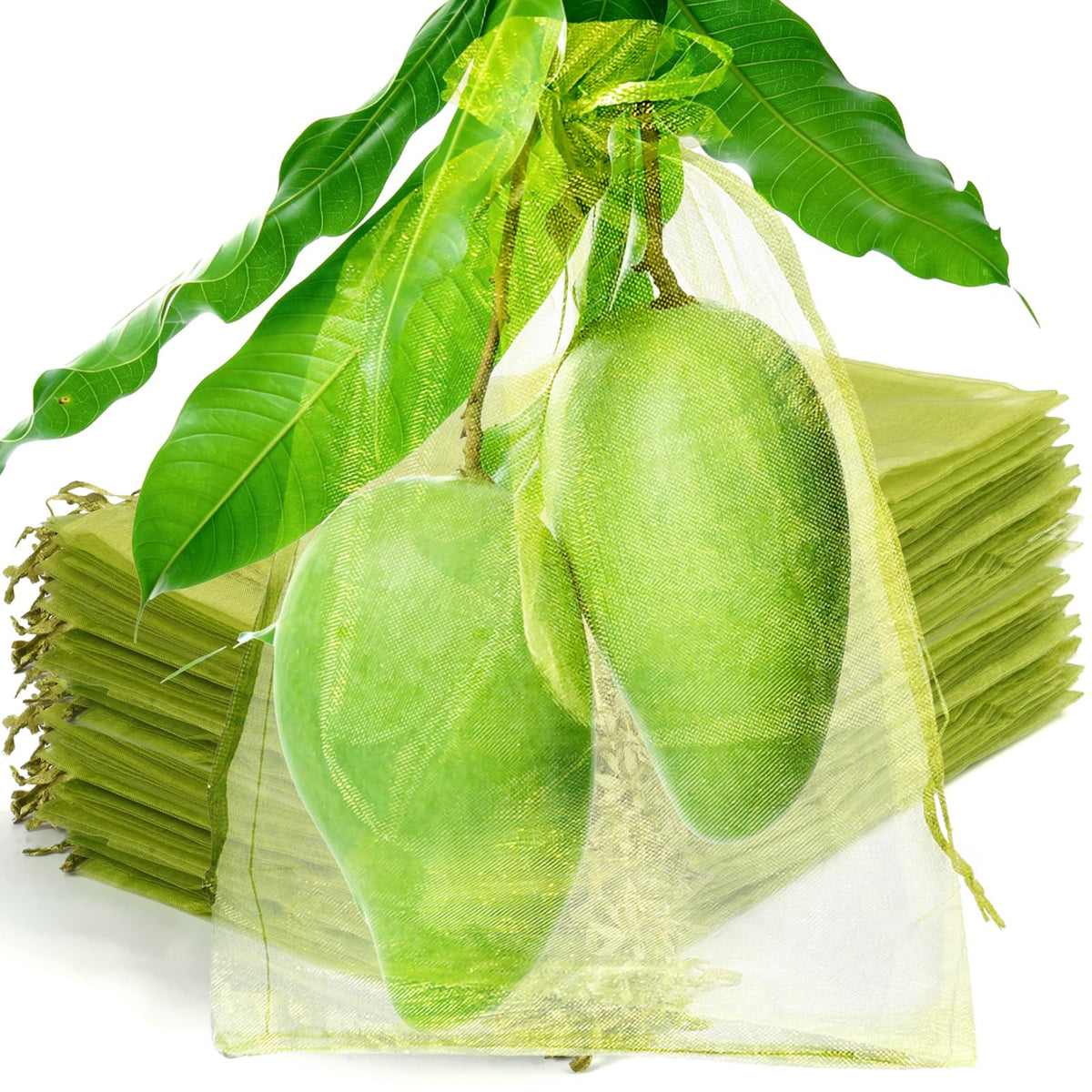 50 Pcs Fruit Protection Bags, 6×9 in Mesh Cover Nets for Tree, Green