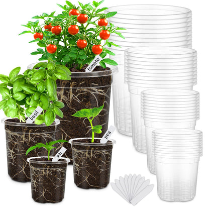 30 Pack Clear Nursery Plant Pots, 3.5/4/5 In with Drainage Holes, 20 Labels