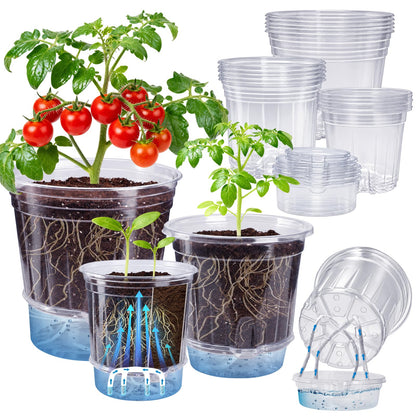 Bluepro Clear Nursery Pots with Drainage Holes, 3.5/4/5 Inch, 36-Pack