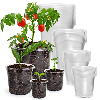 Bluepro Clear Nursery Pots with Drainage Holes, 3.5/4/5 Inch, 36-Pack