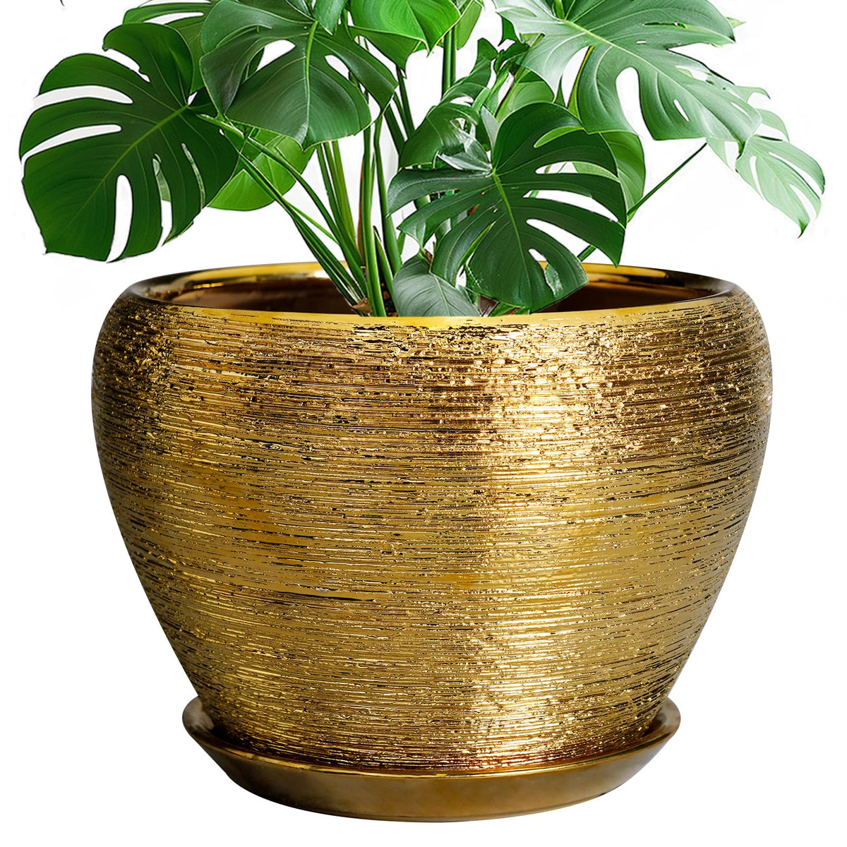 Ceramic Modern Glaze Succulent Planter Pot with Drainage Hole and Saucer 6 Inch Round Flower Plant Pot for Indoor Outdoor Herb Snake Plants