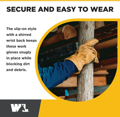 Wells Lamont Men's Work Gloves, Cowhide Leather, Reinforced Palm, Medium