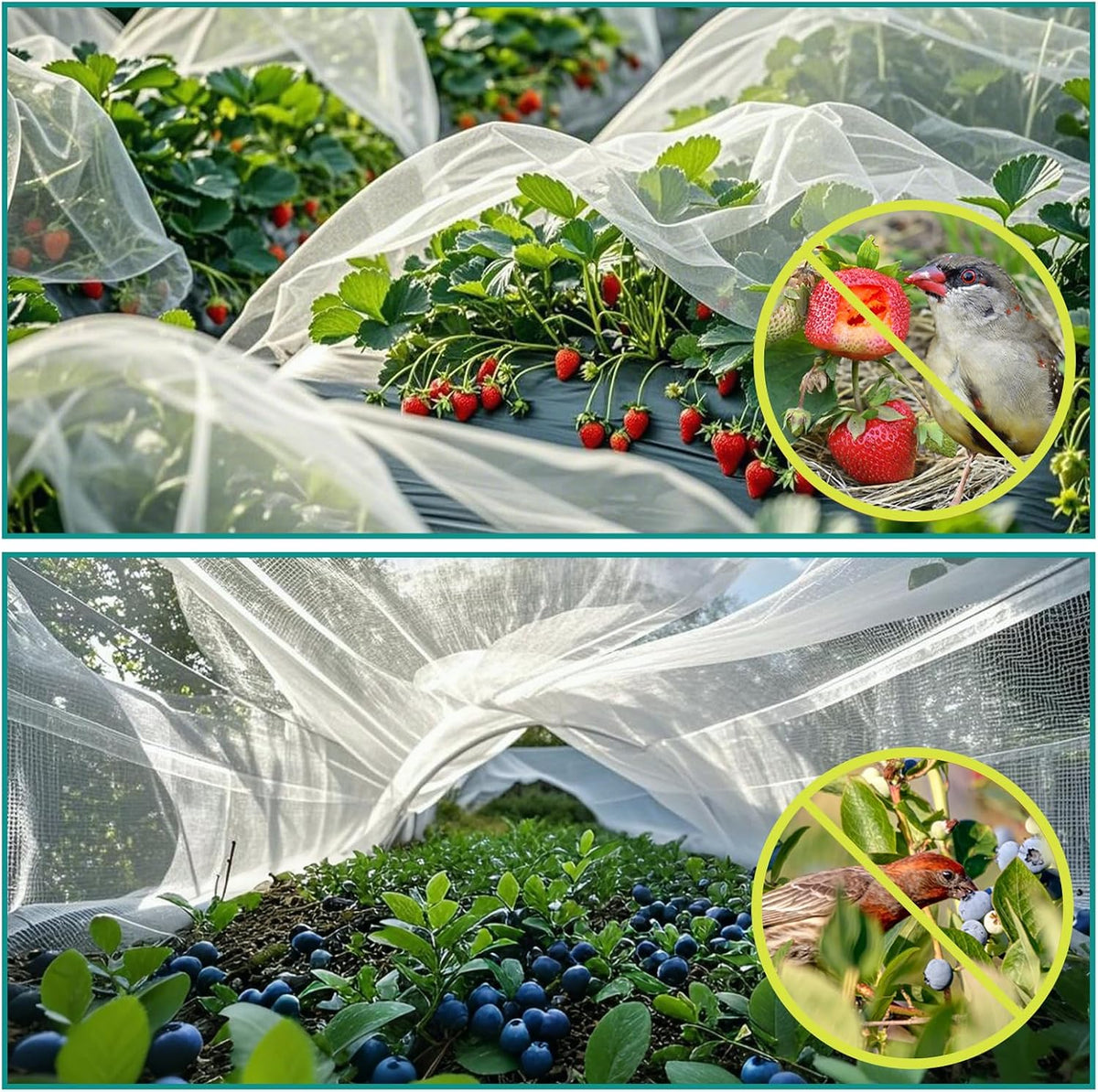 SPORTYOUTH 10x50Ft Garden Netting Ultra Fine Mesh Bird Net for Raised Beds