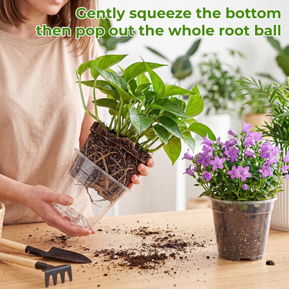 Sturdy 12 Pack Clear Nursery Pots 5/6/6.5/7.5/8/10 Inch with Drainage Holes