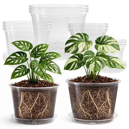 Bluepro Clear Nursery Pots with Drainage Holes, 3.5/4/5 Inch, 36-Pack