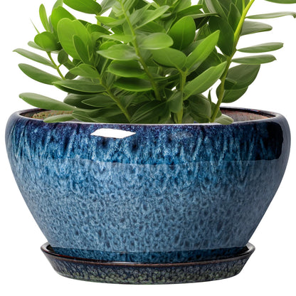 Ceramic Modern Glaze Succulent Planter Pot with Drainage Hole and Saucer 6 Inch Round Flower Plant Pot for Indoor Outdoor Herb Snake Plants