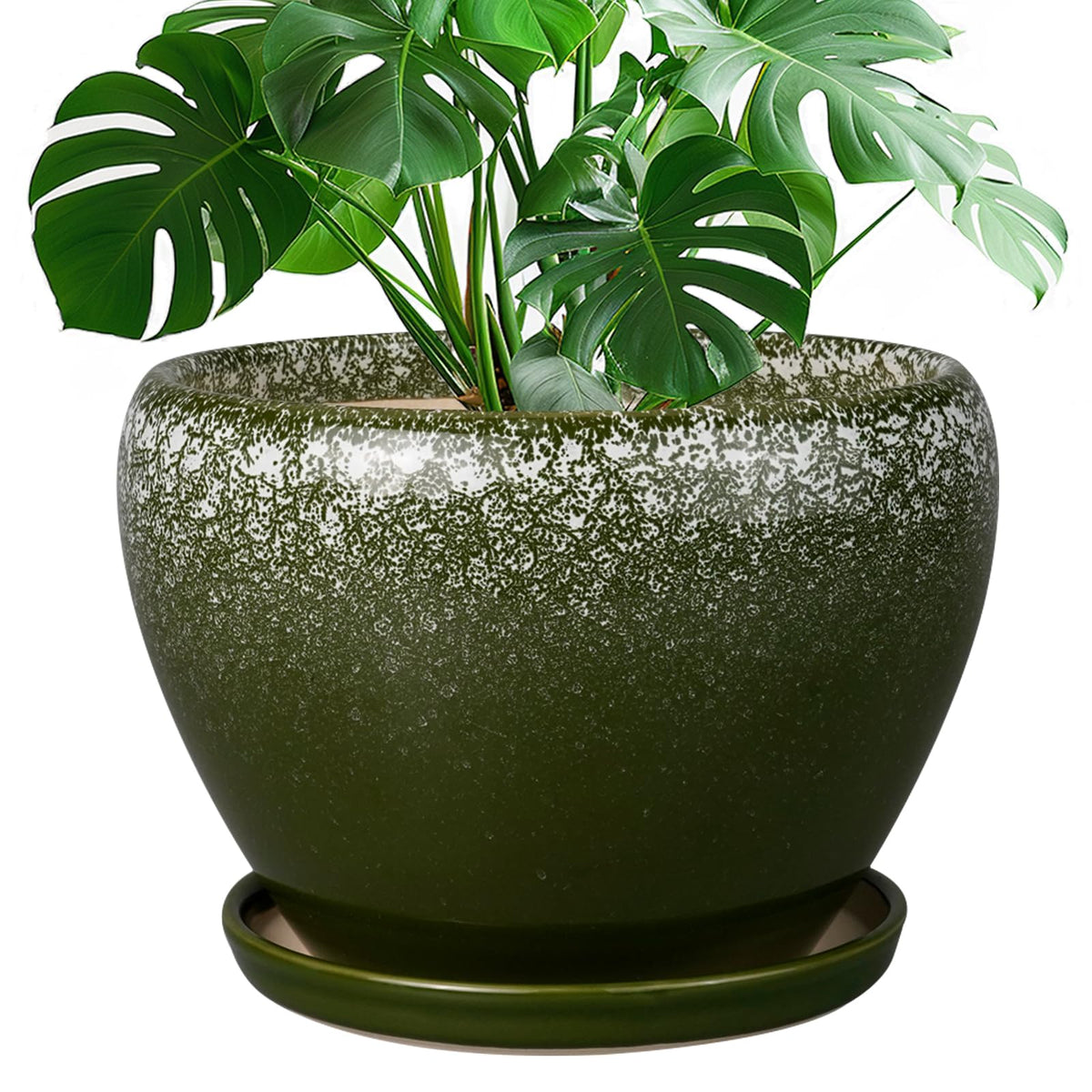 Ceramic Modern Glaze Succulent Planter Pot with Drainage Hole and Saucer 6 Inch Round Flower Plant Pot for Indoor Outdoor Herb Snake Plants