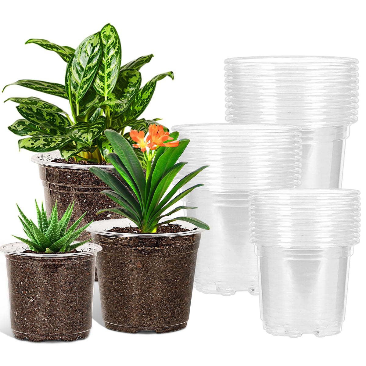 JERIA 30 Pack 6/5/4Inch Clear Nursery Pots with Drainage Holes, Clear Plant Pot for Planting, Transparent Plastic Plant Pots,Durable Seed Starting Pot for Succulents