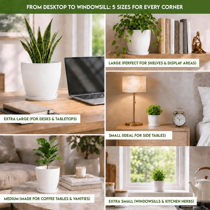 Plant Pots Indoor with Drainage, 5 Pack Multi-Size Planters Set, White