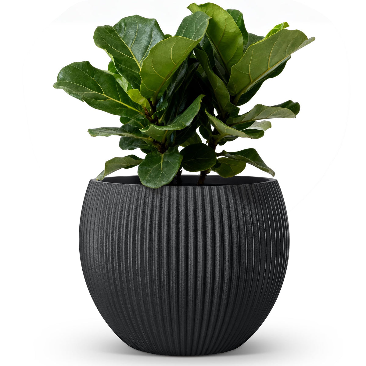 homenote 14.5 Inch Large Black Plastic Flower Pot with Drainage Plug