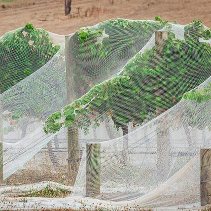 PURPLE STAR 1N 6 x 7 Feet Insect Bird Barrier Netting Mesh with Drawstring, Garden Bug Netting Plant Cover for Protect Plant Fruits Flower from Insect Bird Eating