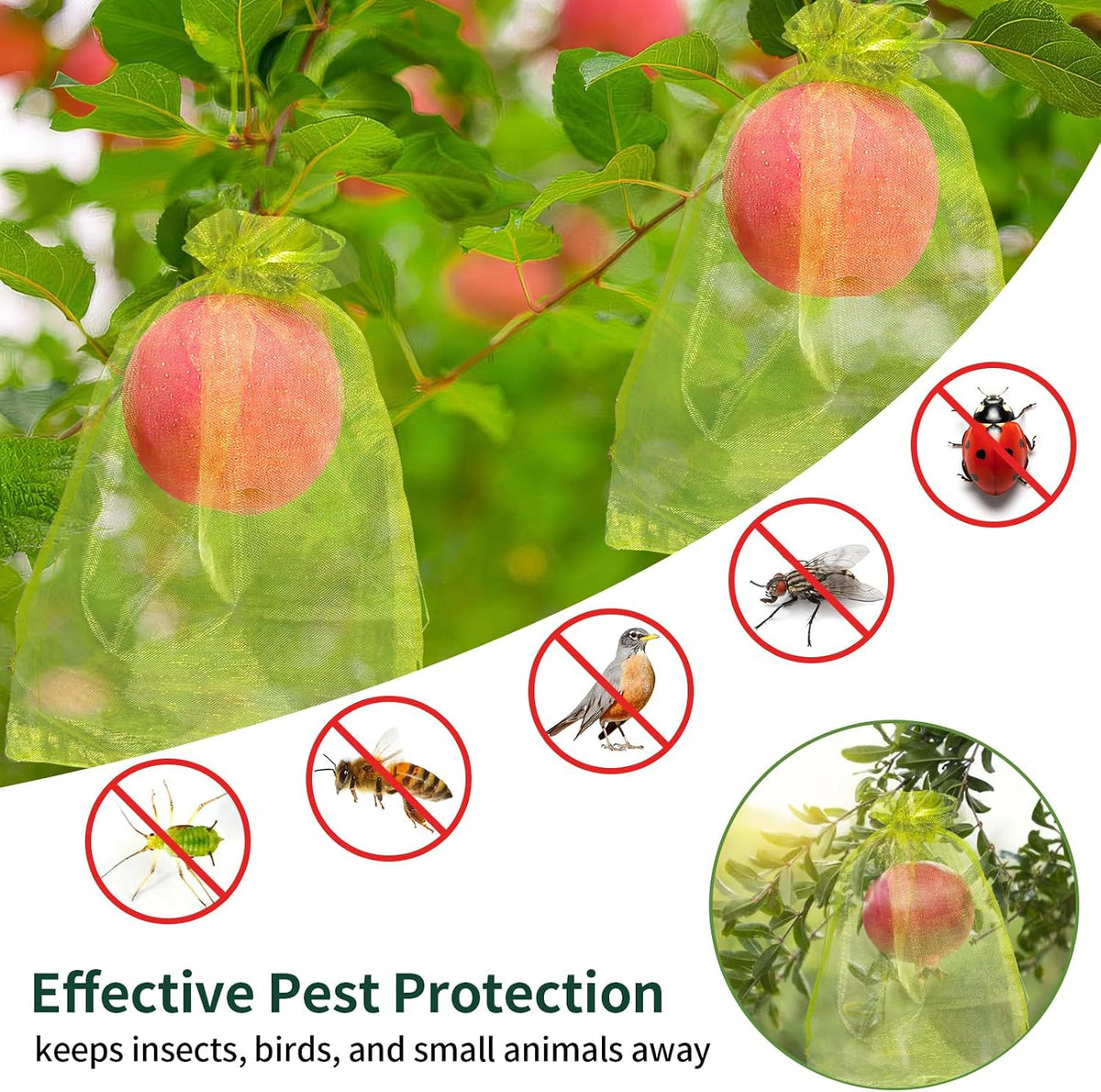 50 Pcs Fruit Protection Bags, 6×9 in Mesh Cover Nets for Tree, Green