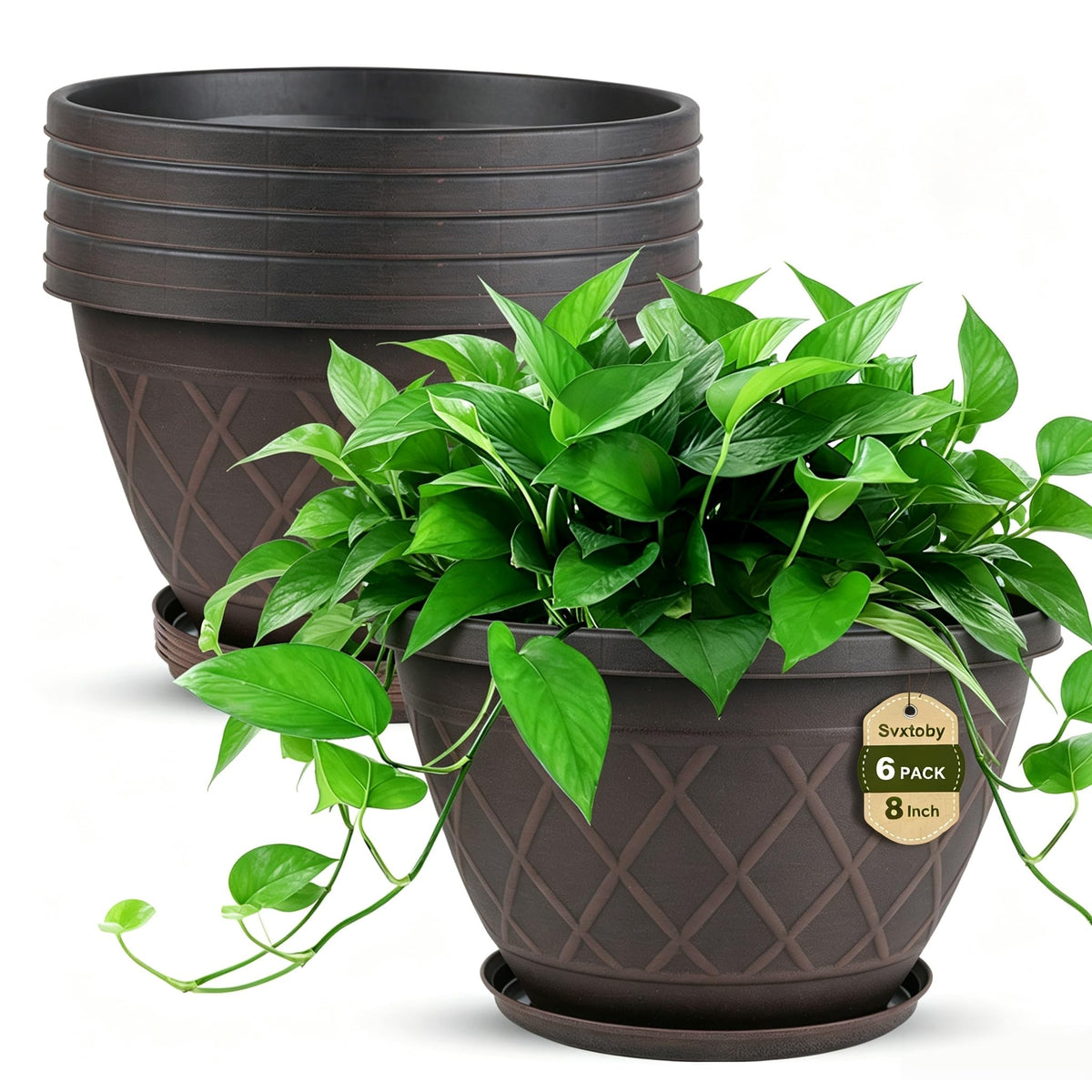 4 Pack 10 inch Plant Pot for Outdoor Indoor, Plastic Flower Pots with Trays