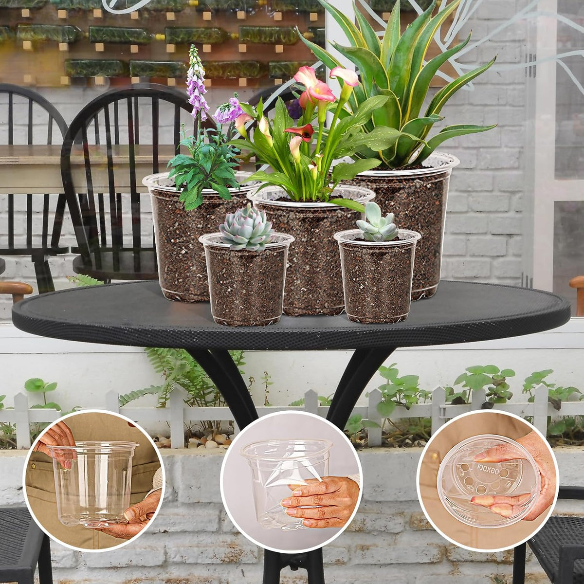 JNYONG 60 Pack 3.5/4/5/6/7 Inch Clear Nursery Pots with Drainage Hole