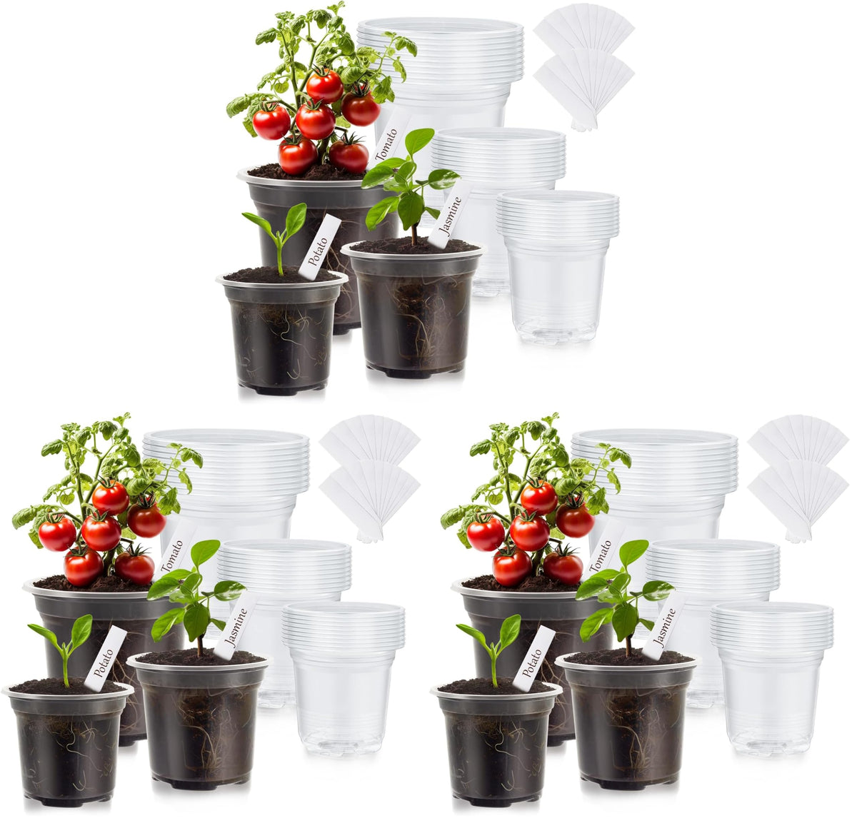 30 Pack Clear Nursery Plant Pots, 3.5/4/5 In with Drainage Holes, 20 Labels