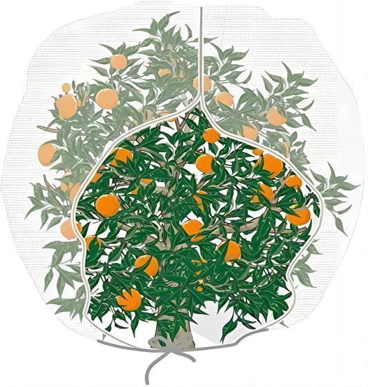Agfabric Bird Netting 84" Hx72 W Garden Netting Insect Pest Barrier,Plant Cover Fruit Tree Netting Mesh Protection Bag with Zipper,White