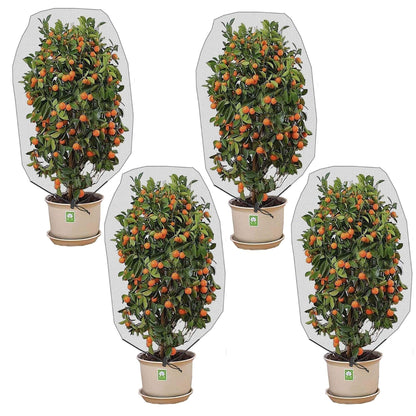 Alpurple 2 Pcs Insect Bird Barrier Netting Mesh with Drawstring- 4.9 x 3.2 Ft Garden Bug Netting Plant Cover- Fruit Tree Net for Protect Plant Fruits Citrus Flower from Insect Bird Eating