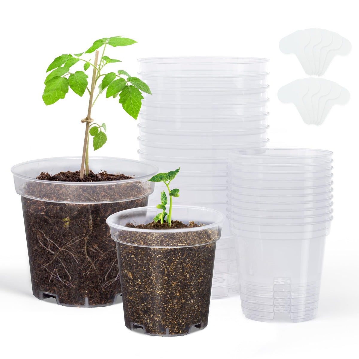 homenote 3/4/5/6.7 Inch Clear PP Nursery Pots with Drainage Holes (36 Pcs)