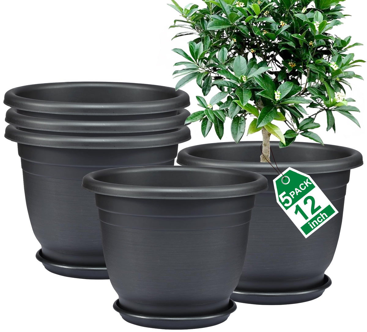 5 Packs 10 inch Flower Pots + Saucers, Large Indoor & Outdoor Pot