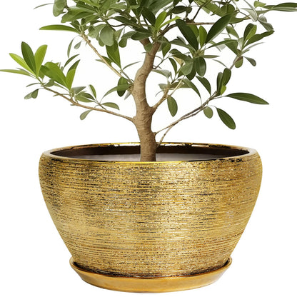 Ceramic Modern Glaze Succulent Planter Pot with Drainage Hole and Saucer 6 Inch Round Flower Plant Pot for Indoor Outdoor Herb Snake Plants